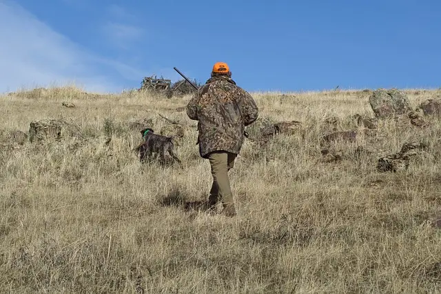 Hunt